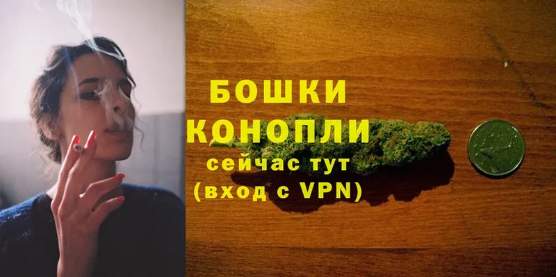 Где можно купить наркотики Алексин Cocaine  Псилоцибиновые грибы  ГАШ  KRAKEN как зайти  Alpha PVP 